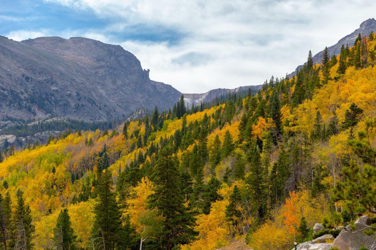 Ferienwohnung Quiet In The Pines - Permit #3120 Estes Park Exterior foto